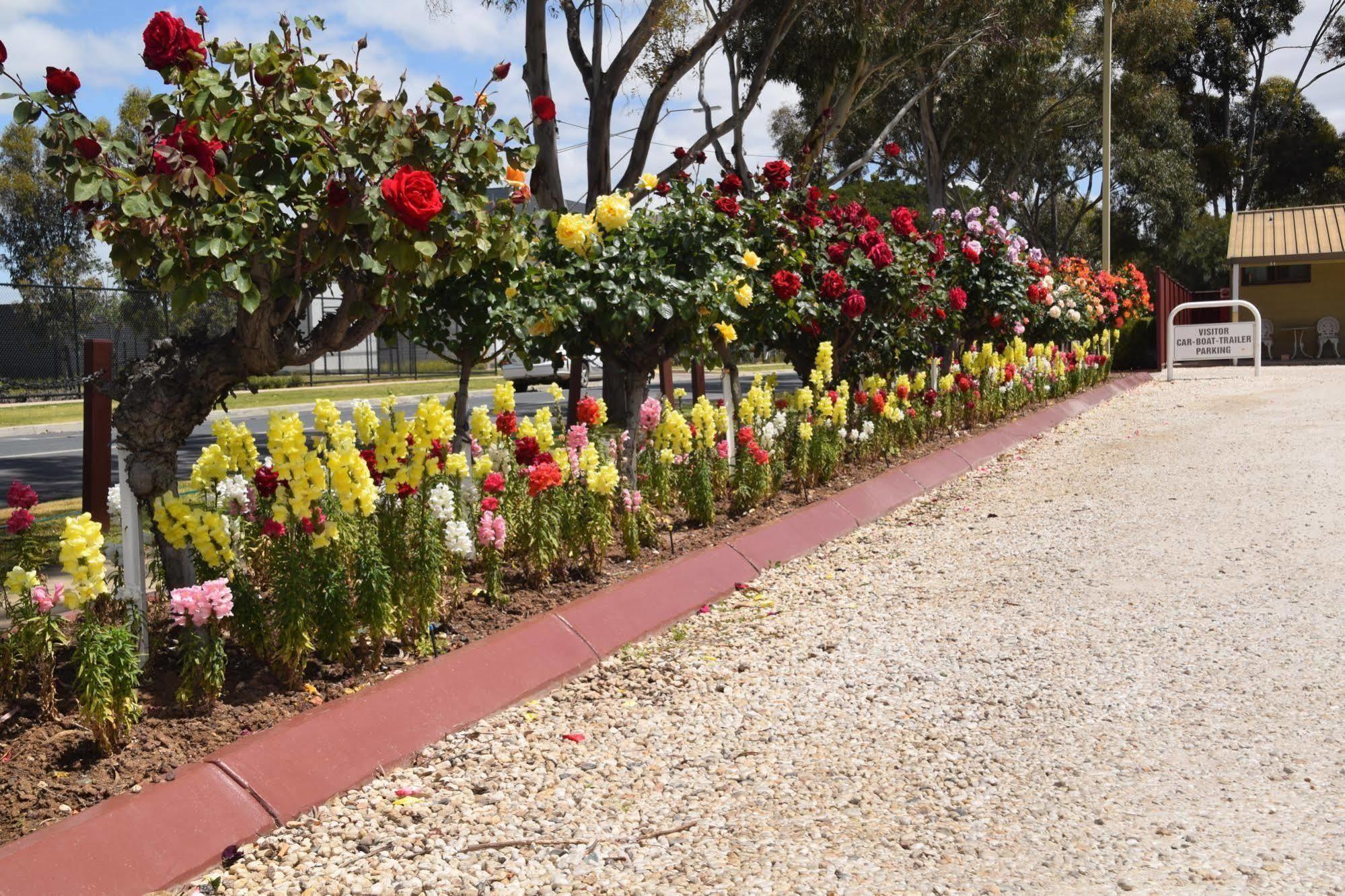 Big River Motel Echuca Dış mekan fotoğraf